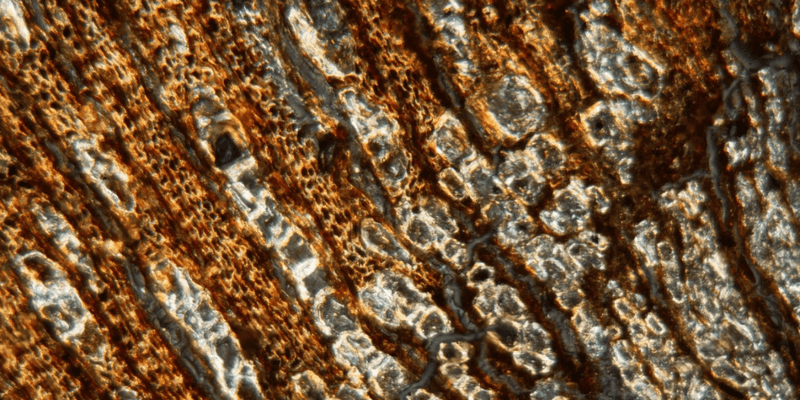 2.png__PID:47c55d46-ad1e-448e-86f1-c6f72356763d